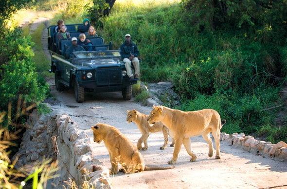Kruger Park Lodge 401 Hazyview Eksteriør billede